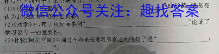 文博志鸿 2023年河南省普通高中招生考试模拟试卷(冲刺三)语文