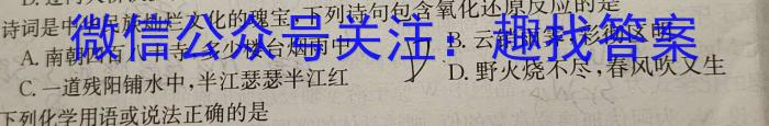 2023年河南省初中学业水平考试全真模拟(六)6化学