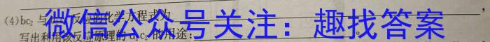  2023年安徽省名校之约大联考中考导向压轴信息卷化学