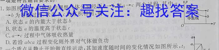 一步之遥 2023年河北省初中毕业生升学文化课考试模拟考试(十三)物理.