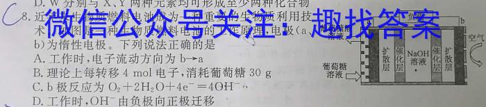 2023年河南省初中学业水平考试全真模拟(六)6化学