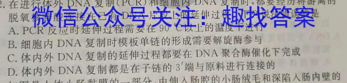 安徽省2023-2024学年度八年级阶段质量检测【PGZX D-AH &】数学