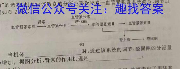 江西省南昌市2023年初三年级第二次调研检测数学