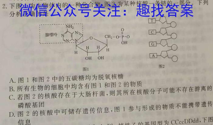 辽宁省2023-2024学年度高三上学期12月月考数学