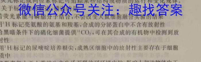 利辛高级中学2023~2024学年度第一学期高三12月教学质业检测(243391Z)数学