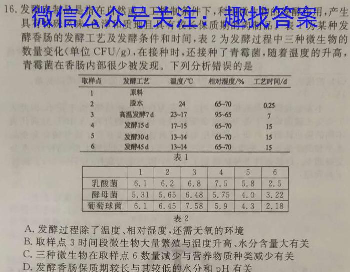 广东省湛江市2023-2024学年度高一第一学期期末高中调研测试考试数学