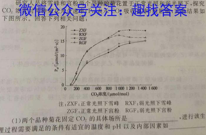 甘肃省2024届新高考备考模拟考试（243014Z）数学