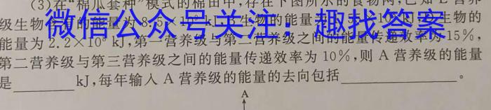 南宁市2023-2024学年度高二年级秋季学期教学质量调研数学