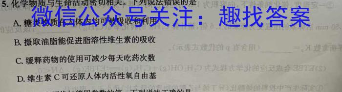 湖南省2023年上学期高二期末化学