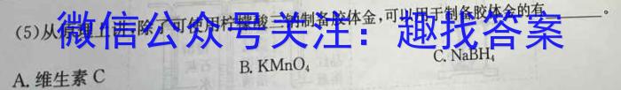 天一大联考2024-2023学年高三考前定位考试化学