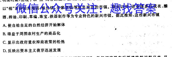 天一大联考·皖豫名校联盟2022-2023学年(下)高二年级阶段性测试(期末)历史
