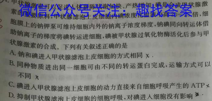 广东省2024届九年级期中综合评估 2L R数学