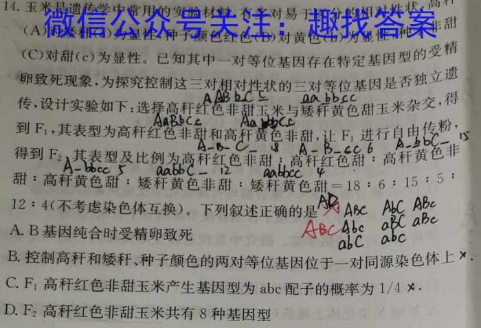 2023年新高考全国Ⅱ卷语文高考真题文档版（无答案）数学
