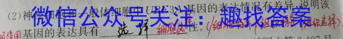甘肃省2024-2023学年高二下学期5月月考生物