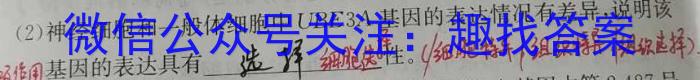 [渭南一模]陕西省渭南市2024届高三教学质量检测(Ⅰ)1数学