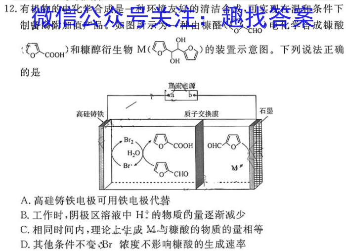 大联考·2022-2023学年高一年级阶段性测试（五）化学