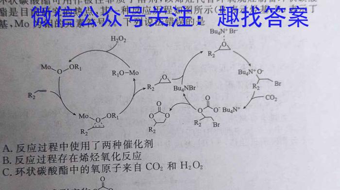 山西省忻州市2022~2023学年八年级第二学期期末教学质量监测(23-CZ261b)化学