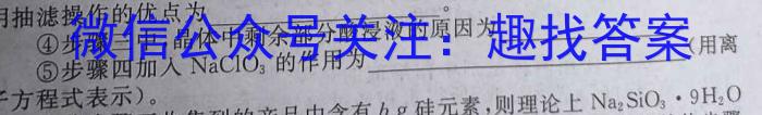 安徽省合肥市庐江县2024/2023学年度八年级第二学期期末教学质量抽测化学