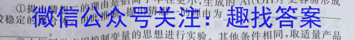 江西省2023届九年级考前适应性评估（三）（8LR）化学