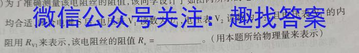 耀正文化(湖南四大名校联合编审)·2023届名校名师模拟卷(九)9l物理