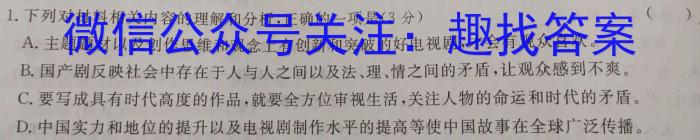 2022~2023学年利辛高级中学高二第二学期第四次质量检测(232809Z)语文