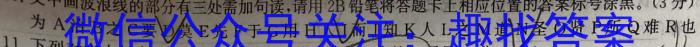 河北省2022~2023学年高二第二学期期末调研考试(23-512B)语文