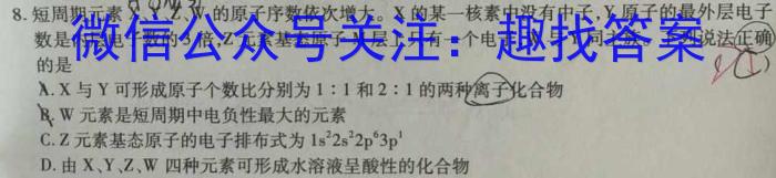 一步之遥 2023年河北省初中毕业生升学文化课考试模拟考试(十三)化学