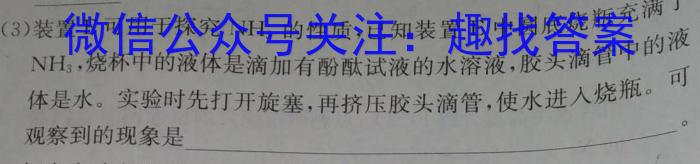 安徽第一卷·2022-2023学年安徽省七年级教学质量检测(八)化学