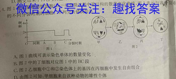 四川省宜宾市叙州区第一中学校2023年春期高二期末考试生物