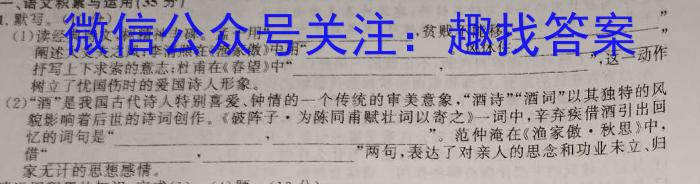 天一大联考·皖豫名校联盟2022-2023学年(下)高二年级阶段性测试(四)语文