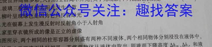 河南省2022~2023学年度八年级下学期期末综合评估 8L HEN物理`