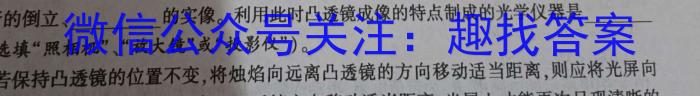 2023届安徽省中考联盟压轴卷(三个黑三角).物理