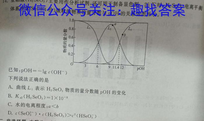 2023年陕西省初中学业水平考试·信息卷化学