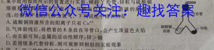 文博志鸿 2023年河南省普通高中招生考试试卷(夺冠二)化学