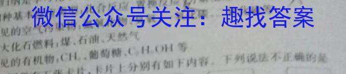 ［卓育云］2024-2023中考学科素养自主测评卷（八）化学