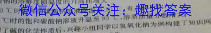 陕西省2023年九年级教学质量检测A（黑色◇）化学