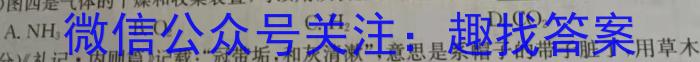 1号卷·2023年A10联盟高二年级(2021级)下学期6月学情调研考试化学