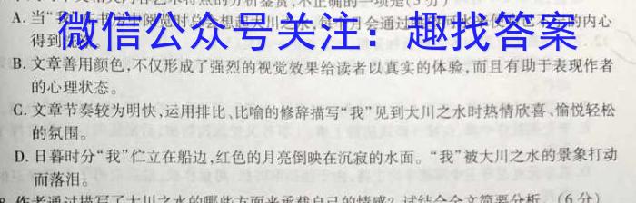 天一大联考 2023年九年级考前定位考试语文