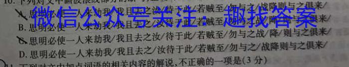 湖南省2023年上学期高一期末语文