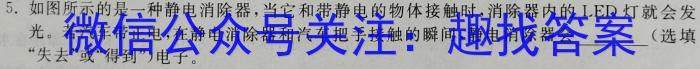 2023年全国普通高等学校统一招生考试 考前检测试卷(新高考)(二)2物理`