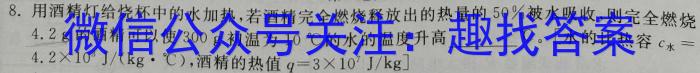 江西省2024-2023学年八年级下学期期末综合评估（8LR-JX）q物理