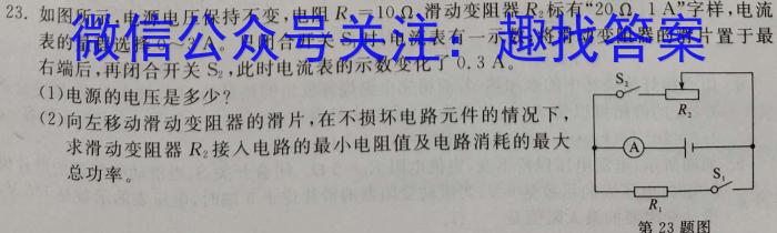 2023届陕西省九年级最新中考压轴卷(标识✿)物理`