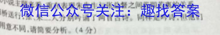 2023年陕西省初中学业水平考试信息卷(C)语文