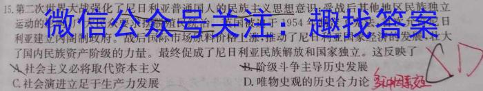 九师联盟2022—2023学年高二下学期6月摸底考试（X）政治~