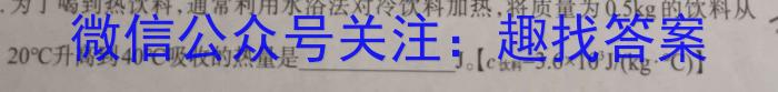 耀正文化(湖南四大名校联合编审)·2023届名校名师模拟卷(十)10物理`