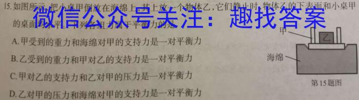 2023年陕西省初中学业水平考试·中考信息卷Aq物理