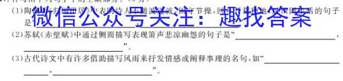 广东省罗湖区2023-2024学年高三第一次质量检测语文