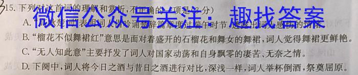 天一大联考 2023年河南省普通高中招生考试考前模拟试卷语文