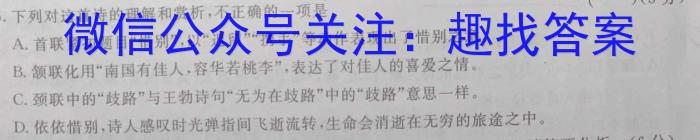 河南省驻马店市2022~2023学年度高一第二学期期终考试语文