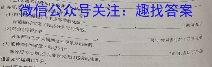 文博志鸿 2023年河南省普通高中招生考试模拟试卷(信息卷二)语文